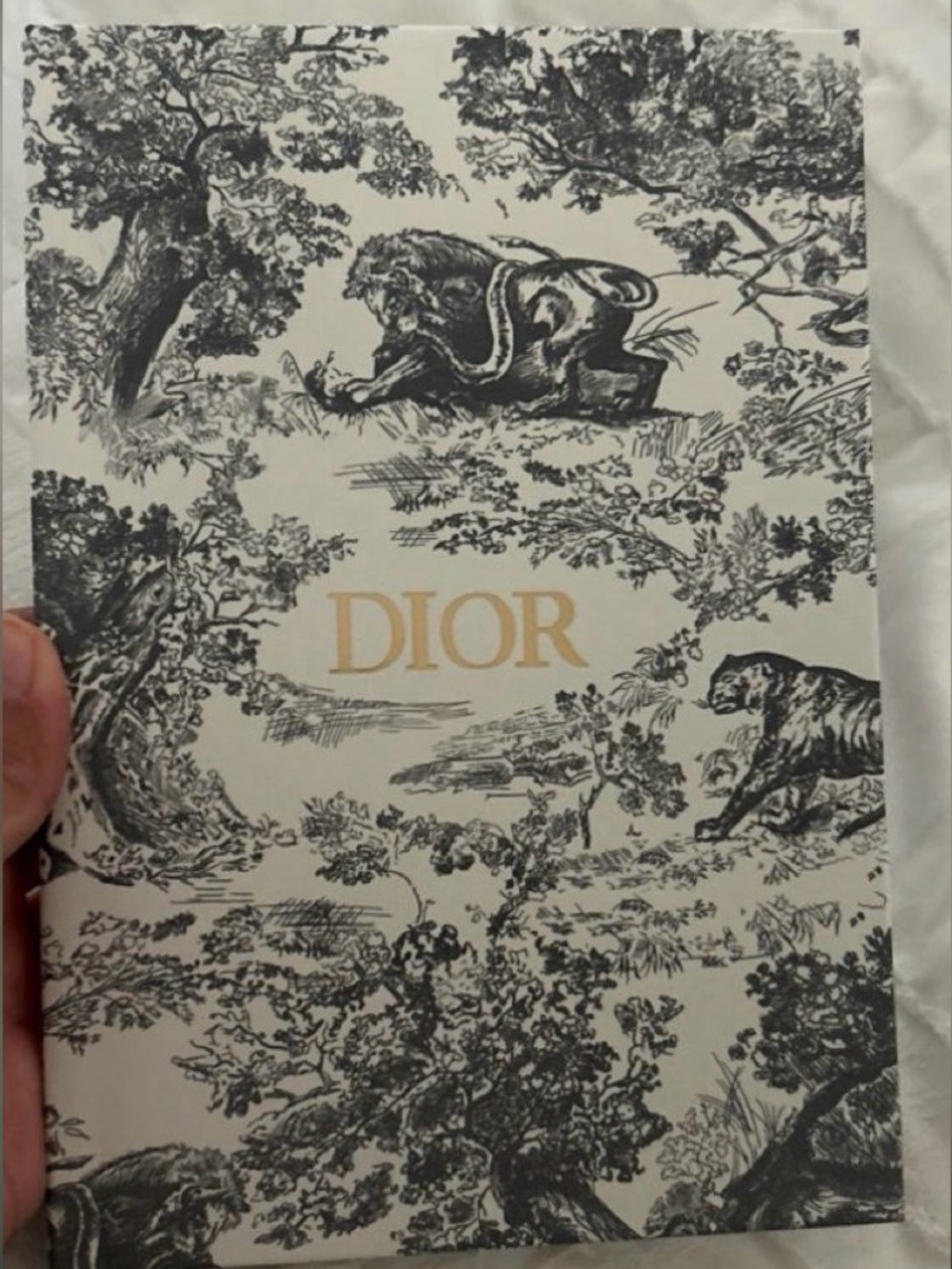 Dior Toile de Jouy Notebook